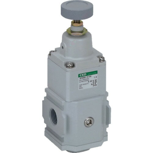 ■CKD 精密レギュレータ RP20001008(5822572)