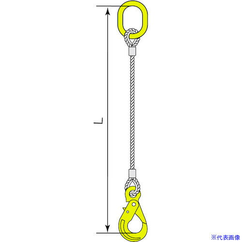 オレンジブック トラスコ中山　TRUSCOコンドーテック マーテック金物付JISロック止ワイヤ BK ロッキングフック φ12×8M MFA−6・BK−6 〔品番:05221MABK128〕[ 注番:6123289]特長●JIS規格ワイヤーロープを使用したアルミクランプ管による圧縮止め加工を行ったスリングです。●フック・リングは安心なマーテックブランド。仕様●安全使用荷重2本垂直吊り(t)：2●全長(m)：8●スリング径(mm)：12仕様2●クレーン等安全規則第219条適合品材質/仕上セット内容/付属品●マスターリンク：MFA-6●フック：BK-6注意●1本吊りは厳禁です。原産国（名称）日本JANコード本体質量4.524kgオレンジブック トラスコ中山　TRUSCOコンドーテック マーテック金物付JISロック止ワイヤ BK ロッキングフック φ12×8M MFA−6・BK−6 〔品番:05221MABK128〕[注番:6123289][本体質量：4.524kg]分類》荷役用品》吊りクランプ・スリング・荷締機》ワイヤロープスリング☆納期情報：オレンジブック掲載以外でメーカー直送品【法人限定＝会社名ご記入お願い致します。】