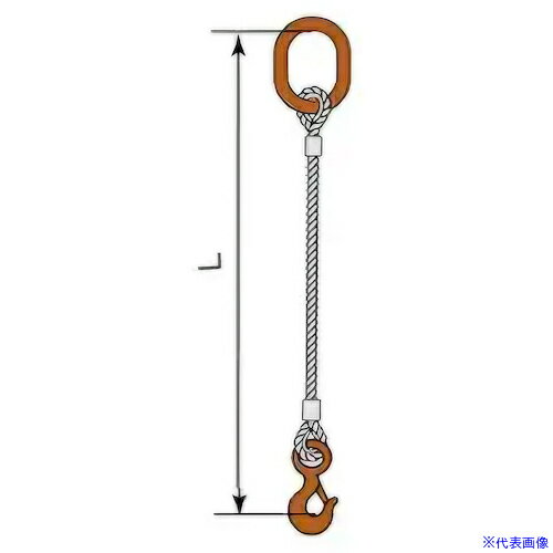 オレンジブック トラスコ中山　TRUSCOコンドーテック JISロック止ワイヤ 12mm 楕円リング 環付きフック 1.0t 塗装 φ12×6M T01S・A1012S 〔品番:05221RDFT126〕[ 注番:6123702]特長●JIS規格ワイヤーロープを使用し、アルミクランプ管による圧縮止め加工を行ったスリングです。●フックは安全なラッチタイプを使用しています。仕様●安全使用荷重2本垂直吊り(t)：2.0●全長(m)：6●スリング径(mm)：12仕様2●クレーン等安全規則第219条適合品材質/仕上セット内容/付属品●マスターリンク：A1012S 1t●フック：塗装環付フック1t注意●1本吊りは厳禁です。原産国（名称）日本JANコード本体質量4.13kgオレンジブック トラスコ中山　TRUSCOコンドーテック JISロック止ワイヤ 12mm 楕円リング 環付きフック 1.0t 塗装 φ12×6M T01S・A1012S 〔品番:05221RDFT126〕[注番:6123702][本体質量：4.13kg]分類》荷役用品》吊りクランプ・スリング・荷締機》ワイヤロープスリング☆納期情報：オレンジブック掲載以外でメーカー直送品【法人限定＝会社名ご記入お願い致します。】