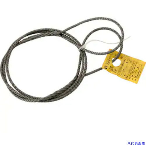 オレンジブック トラスコ中山　TRUSCOコンドーテック JISロック止玉掛ワイヤ(6×24)O/O φ12×1.5M 袋入り 〔品番:052B54O121S5〕[ 注番:6123712]特長●JIS規格商品。仕様●全長(m)：1.5●スリング径(mm)：12●破断荷重（kn）：71　●アイ寸法（mm）：240x120　●使用荷重（垂直2本2点吊）（kn）：23.6仕様2材質/仕上●鉄セット内容/付属品注意●玉掛索のあみ込み部分およびアイ圧縮部は素線のヒゲが出ています。手袋を使用し、直接手で触れないで下さい。怪我をし危険です。原産国（名称）中国JANコード本体質量1.25kgオレンジブック トラスコ中山　TRUSCOコンドーテック JISロック止玉掛ワイヤ(6×24)O/O φ12×1.5M 袋入り 〔品番:052B54O121S5〕[注番:6123712][本体質量：1.25kg]分類》荷役用品》吊りクランプ・スリング・荷締機》ワイヤロープスリング☆納期情報：オレンジブック掲載以外でメーカー直送品【法人限定＝会社名ご記入お願い致します。】