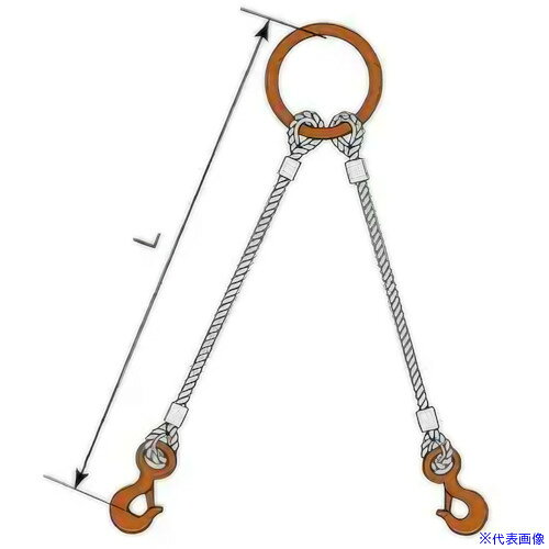 オレンジブック トラスコ中山　TRUSCOコンドーテック JISロック止ワイヤ 2点吊丸リング 12mm 環付きフック 1.0t 塗装 φ12×2M T01S・T19 〔品番:05222RTFT122〕[ 注番:6123928]特長●JIS規格ワイヤーロープを使用し、アルミクランプ管による圧縮止め加工を行ったスリングです。●フックは安全なラッチタイプを使用しています。仕様●全長(m)：2●スリング径(mm)：12●30゜吊り(t)：2●60゜吊り(t)：2仕様2●クレーン等安全規則第219条適合品材質/仕上セット内容/付属品●マスターリンク：鍛造打抜丸リング2t(塗装)●フック：塗装環付フック1t　注意●吊り角度60°以内でご使用ください。原産国（名称）日本JANコード本体質量4.39kgオレンジブック トラスコ中山　TRUSCOコンドーテック JISロック止ワイヤ 2点吊丸リング 12mm 環付きフック 1.0t 塗装 φ12×2M T01S・T19 〔品番:05222RTFT122〕[注番:6123928][本体質量：4.39kg]分類》荷役用品》吊りクランプ・スリング・荷締機》ワイヤロープスリング☆納期情報：オレンジブック掲載以外でメーカー直送品【法人限定＝会社名ご記入お願い致します。】