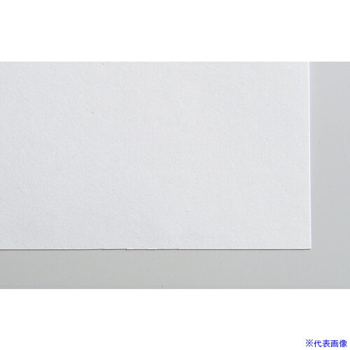 ■ArTeC 画用紙 8切 (#150 100枚)(11252) 11252(6328327)[送料別途お見積り][法人限定][外直送]