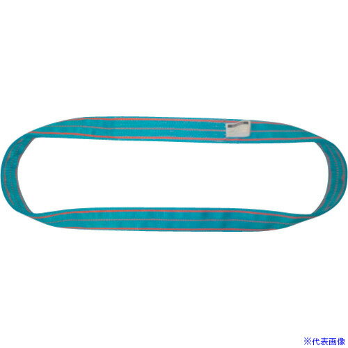 ■TESAC ブルースリング(JIS4等級・エンドレス形)荷重20.0t 全長2.0m 4N250X2.0(6536626)[法人・事業所..