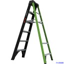 ■ハセガワ リトルジャイアント エーフォース250 専用脚立6尺(10800) LG15766(6663891)