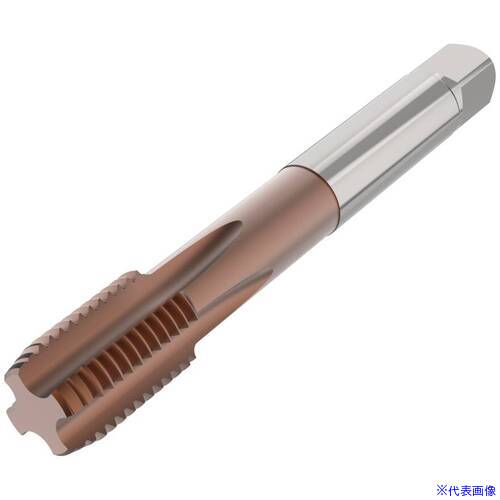 ■セコ ねじ切りタップ T35−SS・ T35SS01C0612X1.7565RH(6797987)[送料別途お見積り][法人限定][掲外取寄]