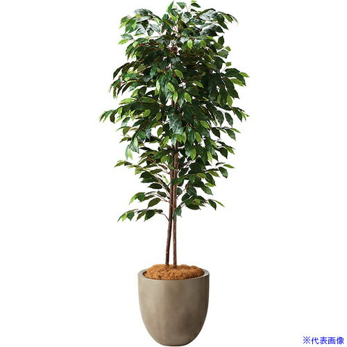 ■NAIKI 人工樹木(フィカス) AG611RPMGL(6907440)[送料別途お見積り][法人限定][掲外取寄]