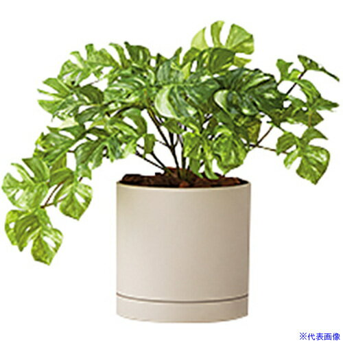■NAIKI 人工樹木(モンステラブッシュ AGF110TRPG(6908942)[送料別途お見積り][法人限定][掲外取寄]