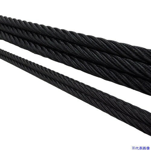 ■DAIKO 黒染めワイヤロープ 2mm×10m KZW02010(6978811)[送料別途お見積り][法人限定][外直送]