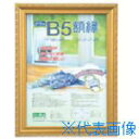 ■ナカバヤシ 樹脂製軽量額(キンケシ)パック/B5 KWP31(7239645)