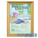 ■ナカバヤシ 樹脂製軽量額(キンケシ)パック/B4 KWP36(7239670)