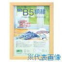 ■ナカバヤシ 樹脂製軽量額(キジ)パック/B5 KWP51(7239718)