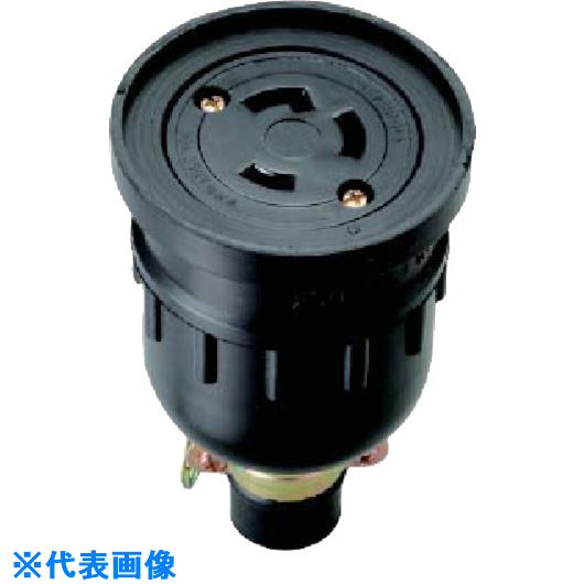 ������ �����ɿ女�ͥ����ܥǡ�����2P MH2637(7359578)