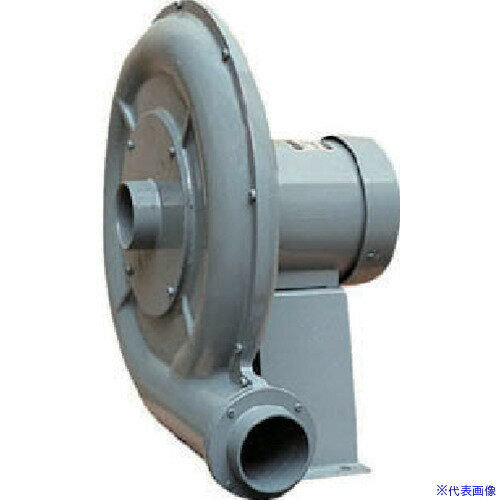 ■淀川電機 電動送風機 高圧ターボ型 DHシリーズ 三相200V (0.125kW) DH2TL(7549351)[送料別途お見積り][法人限定][直送]
