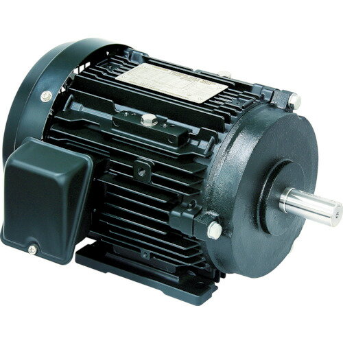 ����� ���Ψ�⡼�� �ץ�ߥ��ॴ����ɥ⡼�ȥ� 55kW FBK21E4P55KW(7687745)[�������Ӥ����Ѥ�][ˡ�͸���][��ľ��]