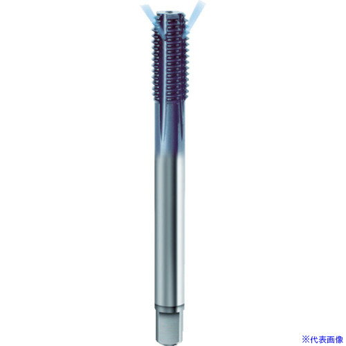  GUHRING TiAlN���d �]���^�b�v ���� M20.0X2.5 4447M20.0X2.5(7895135)