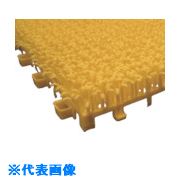 ���ߥť��� ���祤��ȿ͹����� ��̳�� ���� �������� �� 440004(Y)(8020755)