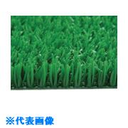 ■ミヅシマ アストロガーデン FG5 4420010(8021027)[送料別途お見積り][法人限定][外直送]