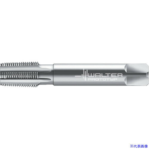 ��Prototyp �ޥ��󥿥å� 24167RC1(8026329)[�������Ӥ����Ѥ�][ˡ�͸���][�ǳ����]