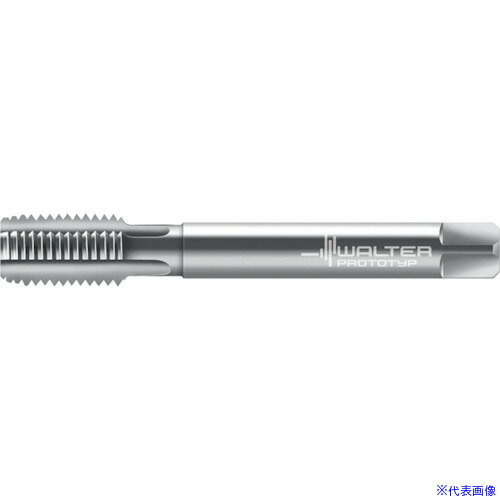 ��Prototyp �ޥ��󥿥å� 243612RP14(8026340)[�������Ӥ����Ѥ�][ˡ�͸���][�ǳ����]