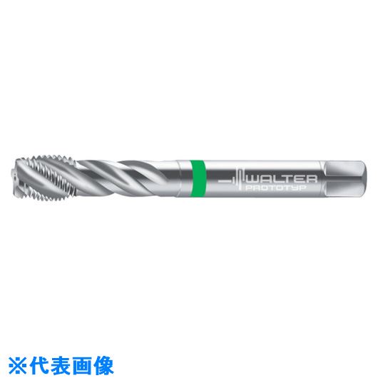 ��Prototyp �ޥ��󥿥å� 7456770G14(8026379)[�������Ӥ����Ѥ�][ˡ�͸���][�ǳ����]