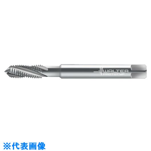 ��Prototyp �ޥ��󥿥å� 204089EGM5(8026605)[�������Ӥ����Ѥ�][ˡ�͸���][�ǳ����]