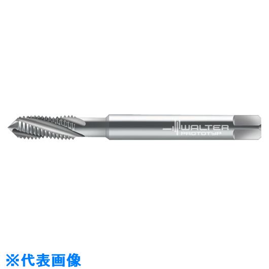 ��Prototyp �ޥ��󥿥å� 204104M3(8026640)[�������Ӥ����Ѥ�][ˡ�͸���][�ǳ����]