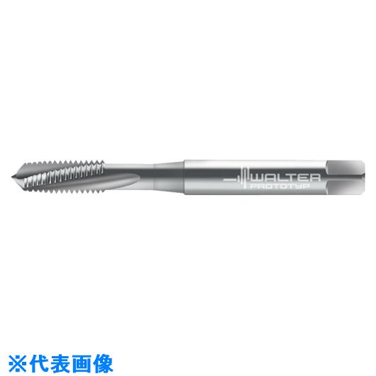 ��Prototyp �ޥ��󥿥å� 20411M3(8026666)[�������Ӥ����Ѥ�][ˡ�͸���][�ǳ����]