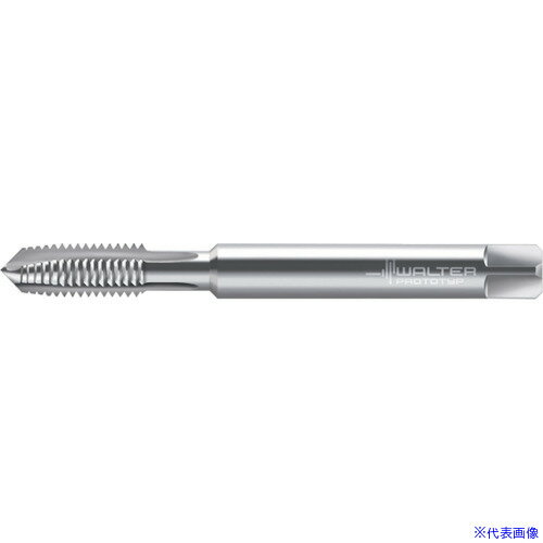 ��Prototyp �ޥ��󥿥å� 23207UNF6(8026961)[�������Ӥ����Ѥ�][ˡ�͸���][�ǳ����]