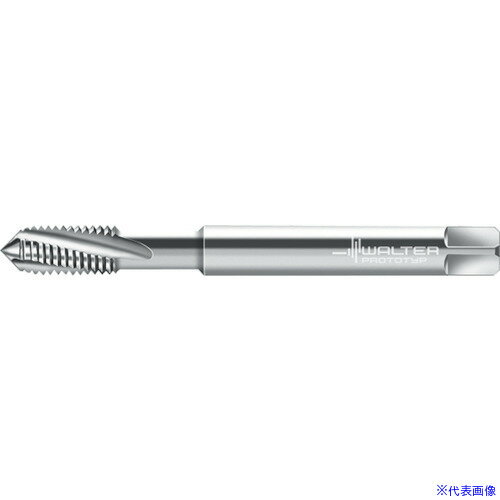 Prototyp ޥ󥿥å 234164UNF10(8027095)[ӤѤ][ˡ͸][ǳ]