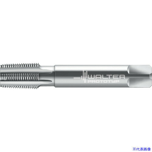 ��Prototyp �ޥ��󥿥å� 25167NPT12(8027111)[�������Ӥ����Ѥ�][ˡ�͸���][�ǳ����]