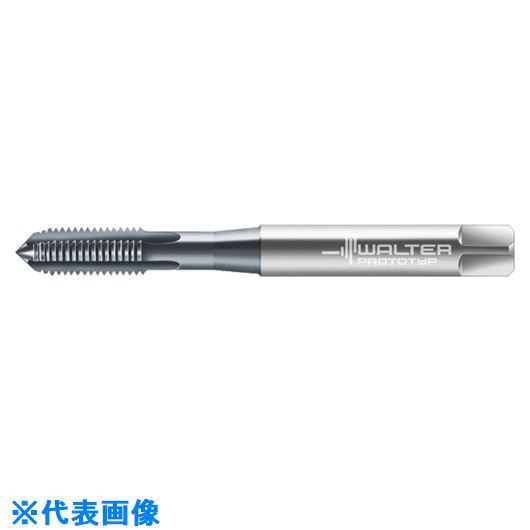 ■Prototyp マシンタップ E2036406M16(8027849)[送料別途お見積り][法人限定][掲外取寄]