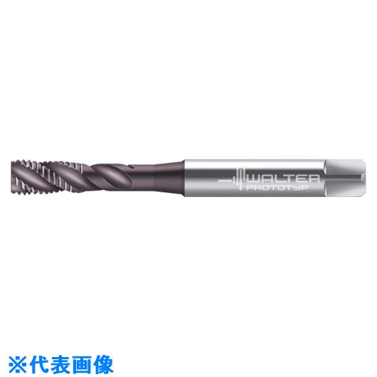  Prototyp �}�V���^�b�v EP2051312M10(8027950)[�����ʓr�����ς�][�@�l����][�f�O���]