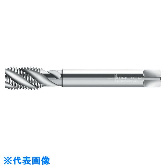 Prototyp ޥ󥿥å P265676UN1.78(8029286)[ӤѤ][ˡ͸][ǳ]