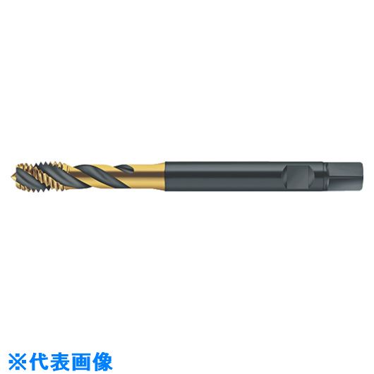 ■Prototyp マシンタップ S2051302M2.5(8029417)[送料別途お見積り][法人限定][掲外取寄]