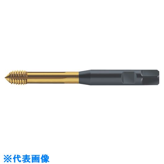 オレンジブック トラスコ中山　TRUSCOPrototyp 転造タップ 〔品番:S2061306M4〕[ 注番:8029447]特長●同期送り加工専用マシンタップです。用途●被削材：鋼、ステンレス鋼、非鉄金属、難削材。●ねじ切り加工。仕様●精度：6HX●呼び寸法：M4●ピッチ(mm)：0.7●全長(mm)：70●シャンク径(mm)：6●シャンク四角部(mm)：4.9●ねじ長(mm)：4.2●TICN仕様2材質/仕上●HSS-Eセット内容/付属品注意原産国（名称）ドイツJANコード4042446131104本体質量0.013kgオレンジブック トラスコ中山　TRUSCOPrototyp 転造タップ 〔品番:S2061306M4〕[注番:8029447][本体質量：0.013kg]《包装時基本サイズ：82×11×9》分類》切削工具》ねじ切り工具》ロールタップ☆納期情報：メーカー取り寄品（弊社より発送）