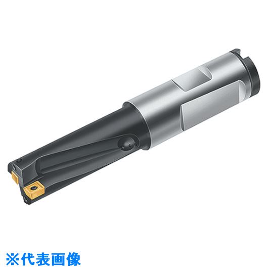 ■Walter チップ交換式ドリル B3212.DF.11.0.Z01.22R(8034306)[送料別途お見積り][法人限定][掲外取寄]