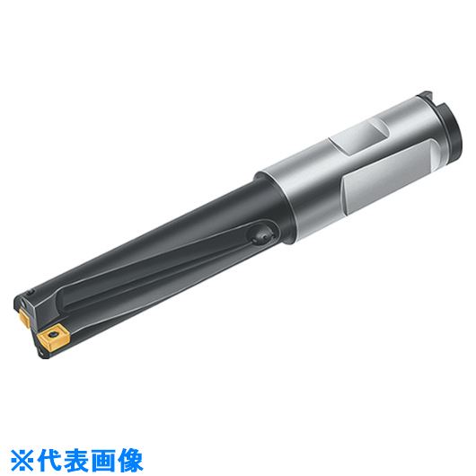 オレンジブック トラスコ中山　TRUSCOWalter チップ交換式ドリル 〔品番:B3213.DF.10.2.Z01.30R〕[ 注番:8034325]特長●チップ交換式ドリルボディです。用途●穴あけ加工。仕様●切削径DC(mm)：10.2●刃数(枚)：2●刃長(mm)：30.6●全長：90仕様2材質/仕上●スチールセット内容/付属品注意原産国（名称）ドイツJANコード本体質量0.09kgオレンジブック トラスコ中山　TRUSCOWalter チップ交換式ドリル 〔品番:B3213.DF.10.2.Z01.30R〕[注番:8034325][本体質量：0.09kg]分類》切削工具》旋削・フライス加工工具》刃先交換式ドリル☆納期情報：メーカー取り寄品（弊社より発送）