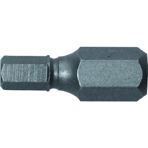 �����ͥå��� ����Ķûϻ�ѥ����ӥå�1���� ����2��19 AK51PH219(8036988)