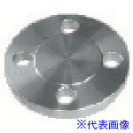 ■inoc 面座付ブラインドフランジ 10K50A 316LBDRF10K50A(8064948)[送料別途お見積り][法人限定][掲外取..