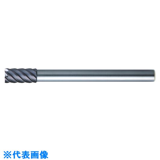 ■MOLDINO エポック21 ロングシャンク CEPLS6120 CEPLS6120(8152222)[送料別途お見積り][法人限定][掲外..