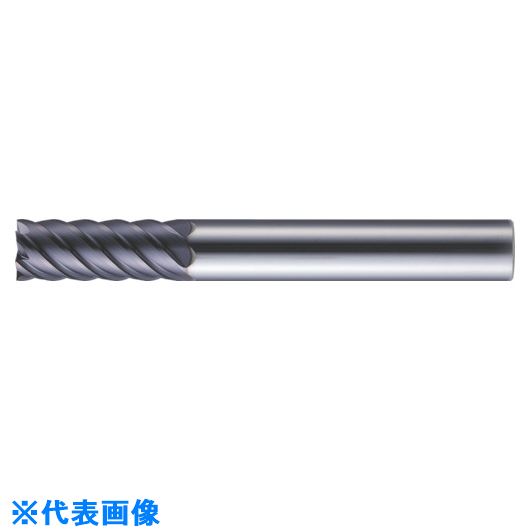 ��MOLDINO ���ݥå�21 �쥮��顼�� CEPR6070 CEPR6070(8152227)[�������Ӥ����Ѥ�][ˡ�͸���][�ǳ����]