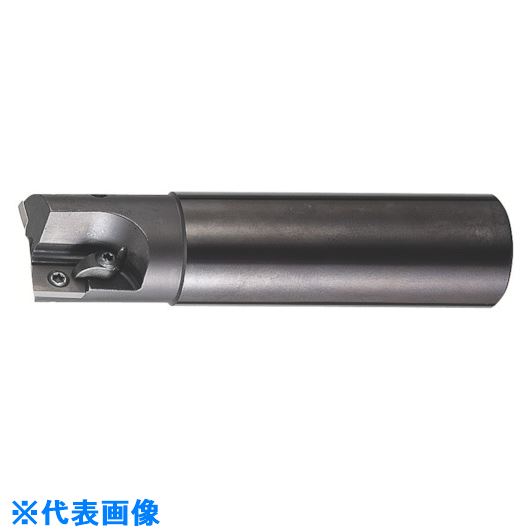 オレンジブック トラスコ中山　TRUSCOMOLDINO MAX1スローアウェイエンドミルMX32250-22 〔品番:MX3225022〕[ 注番:8157388]特長仕様●外径(mm)：25仕様2●MAX1スローアウェイエンドミルMX32250−22材質/仕上セット内容/付属品注意原産国（名称）日本JANコード本体質量795.8gオレンジブック トラスコ中山　TRUSCOMOLDINO MAX1スローアウェイエンドミルMX32250-22 〔品番:MX3225022〕[注番:8157388][本体質量：795.8g]分類》切削工具》旋削・フライス加工工具》超硬スクエアエンドミル☆納期情報：メーカー取り寄品（弊社より発送）