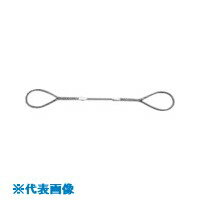■NIKKO Wスリング 全長1.0m スリング径10mm WR10S1(8157481)×10[送料別途見積り][法人・事業所限定][掲..