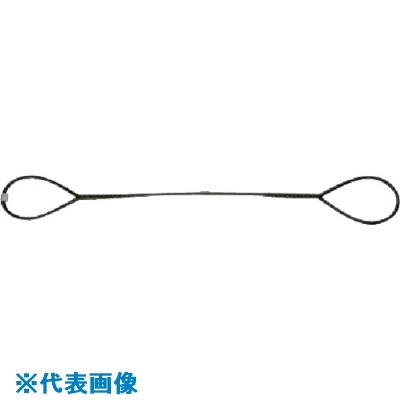 オレンジブック トラスコ中山　TRUSCONIKKO 台付けワイヤー スリング径12mm 全長1.0m 〔品番:D121〕[ 注番:8157610]特長●編みこみの方法が巻き差しです。用途●固定用仕様●ロープ径(mm)：12●長さ(m)：1●使用荷重(kg)：960仕様2●ロープ：炭素鋼●芯：麻芯材質/仕上セット内容/付属品注意●玉掛けには使えません原産国（名称）日本JANコード4941107200558本体質量0.81kgオレンジブック トラスコ中山　TRUSCONIKKO 台付けワイヤー スリング径12mm 全長1.0m 〔品番:D121〕[注番:8157610][本体質量：0.81kg]《包装時基本サイズ：540×350×150》〔包装時質量：640g〕分類》金物・建築資材》建築金物》ワイヤロープ☆納期情報：メーカー取り寄品（弊社より発送）
