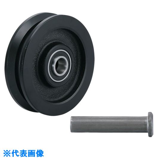 ■SUGATSUNE (200024797)JC110−100V重量用戸車 JC110100V(8207508)[送料別途お見積り][法人限定][掲外取..