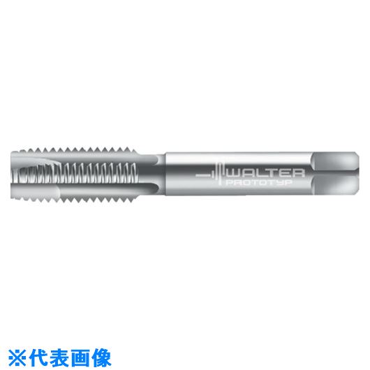 Prototyp 硼ȥޥ󥿥å 20160M12(8259466)[ӤѤ][ˡ͸][ǳ]