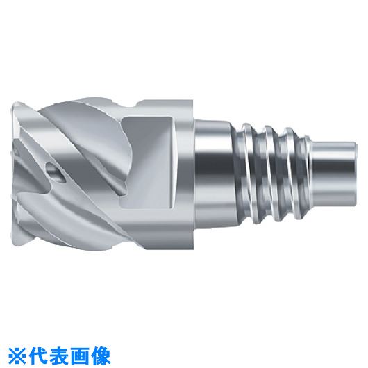 Prototyp Protomax Inox ɥߥ H2EC38217E12122(8259892)[ӤѤ][ˡ͸]...