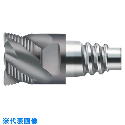 Prototyp ConeFit H3E82378E1616(8259989)[ӤѤ][ˡ͸][ǳ]
