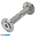 ■NFK 化学薬品タンク用(消防評定品)フレキシブルホース フランジ10K/SUS304(接液部PTFE) 50A×700L NKCT210KSUS30450A...