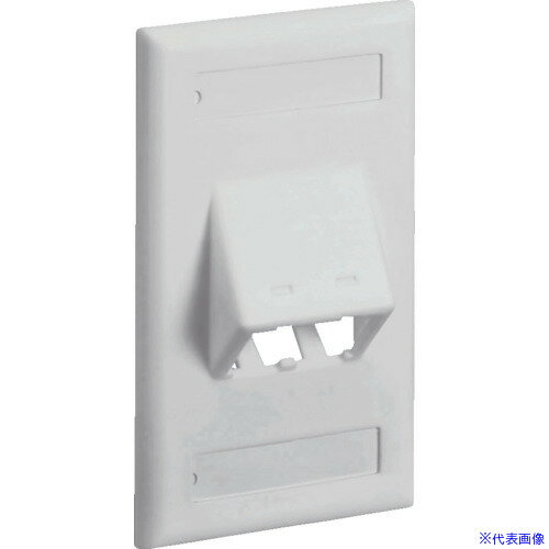 ��PANDUIT �����å��ܥå����ѷ��з��ե������ץ졼�� 2�ݡ����� ���եۥ磻�� CFPSL2IWY(8281454)